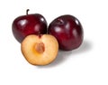 Common plum, susine nere