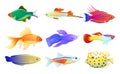 Common and Rare Aquarium Fish Illustration Set