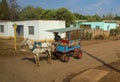 A Horse Pulled Cart in Rural Cuba