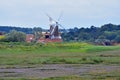 Common Sea Lavender - Limonium vulgare and Windmill, Cley Marshes, Norfolk, England, UK. Royalty Free Stock Photo