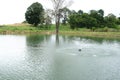 Common and small fish pond in a local fisheries Royalty Free Stock Photo