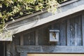 Common sparrows in wooden birdhouse attached to wooden warehouse