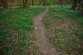 common spring time park ground trail in natural environment space Royalty Free Stock Photo