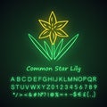 Common star lily neon light icon. Blooming wildflower. Spring blossom. Toxicoscordion fremontii plant inflorescence