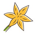 Common star lily yellow color icon. Blooming wildflower. Spring blossom. Toxicoscordion fremontii plant. Meadow