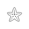Common starfish or sea star fish marine life
