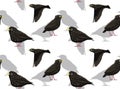 Common Starling Background Seamless Wallpaper