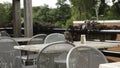 Common Starling at the front of the chair in the cafe garden Royalty Free Stock Photo