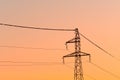 Common starling (Sturnus vulgaris)a large flock of small black birds sits on a mast and power line at sunset Royalty Free Stock Photo