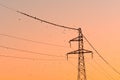 Common starling (Sturnus vulgaris)a large flock of small black birds sits on a mast and power line at sunset Royalty Free Stock Photo