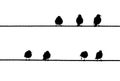 Common Starlings on the power line silhouette Royalty Free Stock Photo