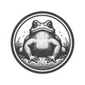 Common Toad Front View Vector For Wildlife Nature Design. Royalty Free Stock Photo