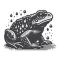 Common Toad With Water Droplets Realistic Nature Vector Design. Royalty Free Stock Photo