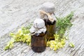 Common toadflax (Linaria vulgaris) and pharmaceutical bottles