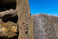 A common wall gecko, also known as Moorish Gecko, camouflages itself on a rock near a village in Portugal Royalty Free Stock Photo