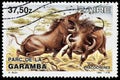 Common Warthog Stamp