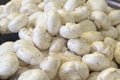 Common White Button Mushrooms Royalty Free Stock Photo