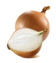 Common whole onion bulb half 2 isolated Royalty Free Stock Photo