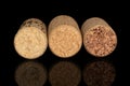 Common wine cork isolated on black glass