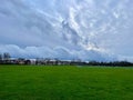 The common in winter and cloudy skies Royalty Free Stock Photo