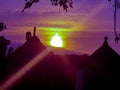 Commond sun on craspedia under the sunset on a hill with a blurry free photo Royalty Free Stock Photo