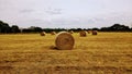 the commons hey round bales