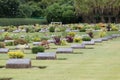 Commonwealth War Graves,Chungkai War Cemetery in Kanchanaburi Thailand