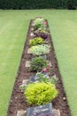 Commonwealth War Graves,Chungkai War Cemetery in Kanchanaburi Thailand