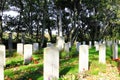 Commonwealth War Graves Nes, Ameland, Holland