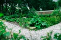 Communal city garden