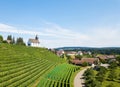 Commune Rheinau with vineyard and Bergkirche St. Nikolaus Royalty Free Stock Photo