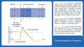 Communication of neurons. Membrane voltage