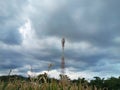 The Communication Signal Tower Rises High Into the Sky During the Hot Day