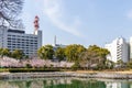 Communication Tower and cityscape viewed from Tamamo Par