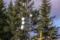 Communication tower with group of parabolic antennas against tall trees Royalty Free Stock Photo