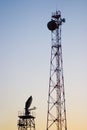 Communication towers Royalty Free Stock Photo