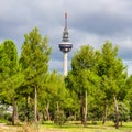 Communications tower of the capital of Spain in Madrid that stands out among the pine forest. Royalty Free Stock Photo