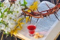Communion cup with wine and bread Royalty Free Stock Photo