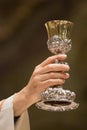 Communion Goblet Royalty Free Stock Photo