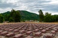 Communist War Graves from Vietnam War, with hills in the background