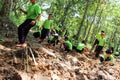 Community forest planting activities