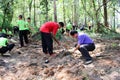 Community forest planting activities