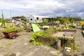 Community Garden Berlin