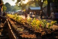 Community Garden Flourishing: Diverse Hands Cultivating Sustainable Living Together