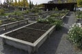 Community garden plots in downtown calgary for growing plants and food
