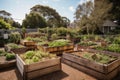 community garden with raised beds for growing herbs, vegetables and fruits