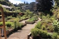 community garden with vegetable and herb plots, plus fruit trees and berry bushes Royalty Free Stock Photo