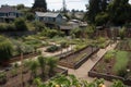 community garden with vegetable and herb plots, plus fruit trees and berry bushes Royalty Free Stock Photo