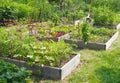 Community Garden