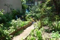 New York City Community Garden